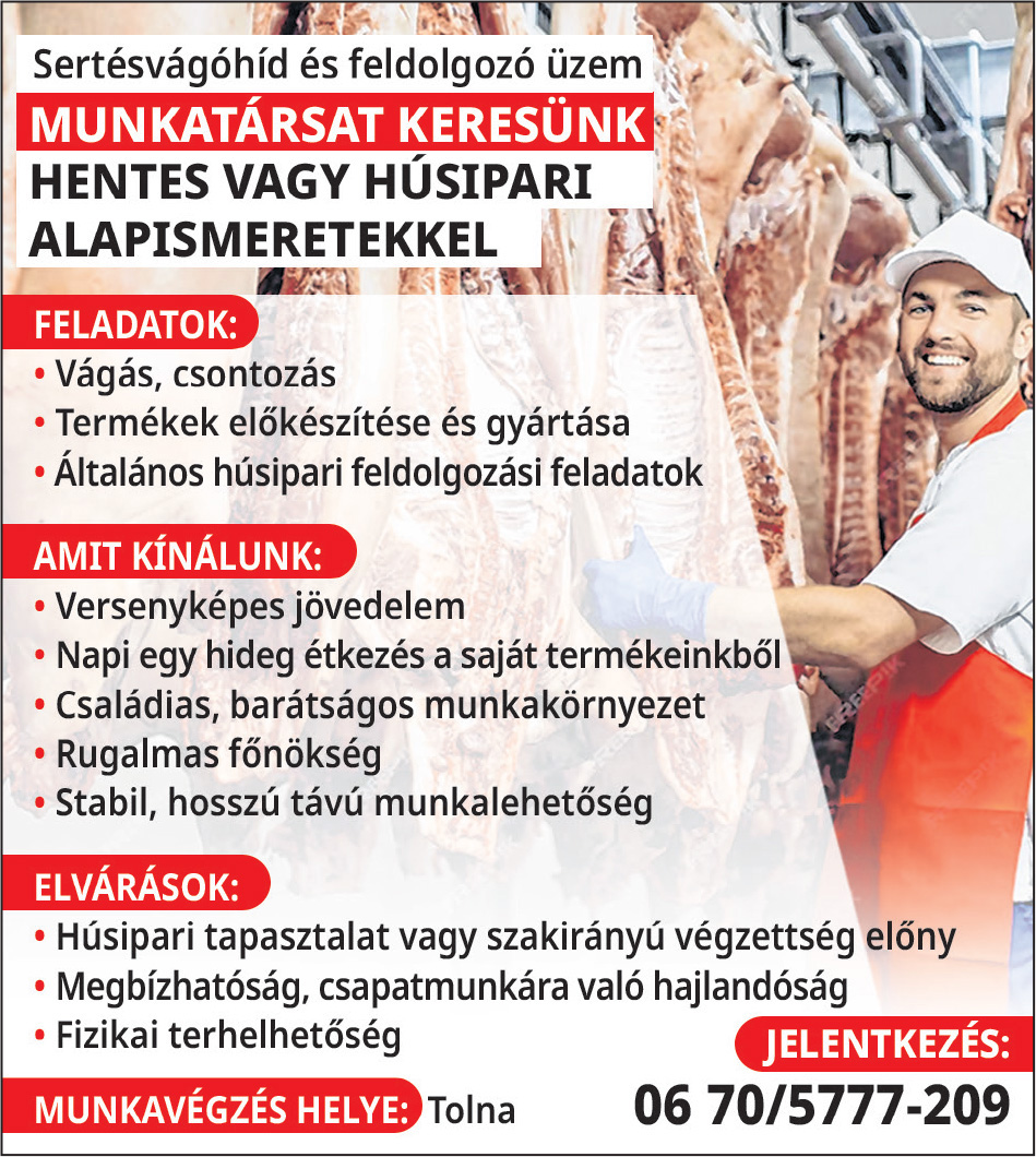 Hentes állás Tolna